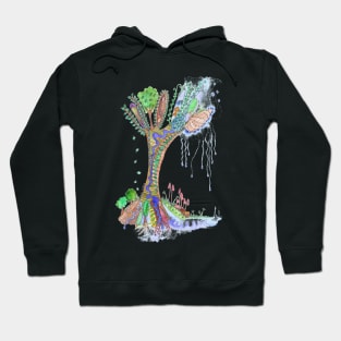 Tree of Life 3 Hoodie